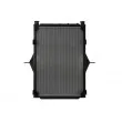 Radiateur, refroidissement du moteur THERMOTEC D7RV017TT - Visuel 2