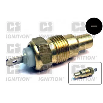 Sonde de température, liquide de refroidissement QUINTON HAZELL