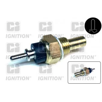 Sonde de température, liquide de refroidissement QUINTON HAZELL