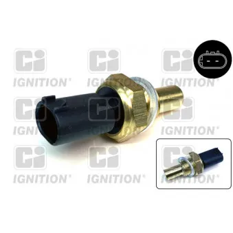 Capteur, température d'huile QUINTON HAZELL