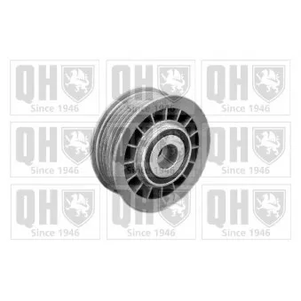 Poulie renvoi/transmission, courroie trapézoïdale à nervures QUINTON HAZELL