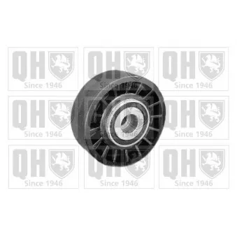 Poulie renvoi/transmission, courroie trapézoïdale à nervures QUINTON HAZELL