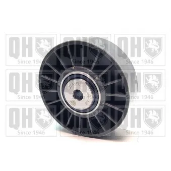 Poulie-tendeur, courroie trapézoïdale à nervures QUINTON HAZELL