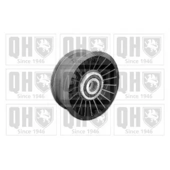 Poulie-tendeur, courroie trapézoïdale à nervures QUINTON HAZELL