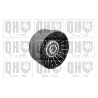 Poulie renvoi/transmission, courroie trapézoïdale à nervures QUINTON HAZELL