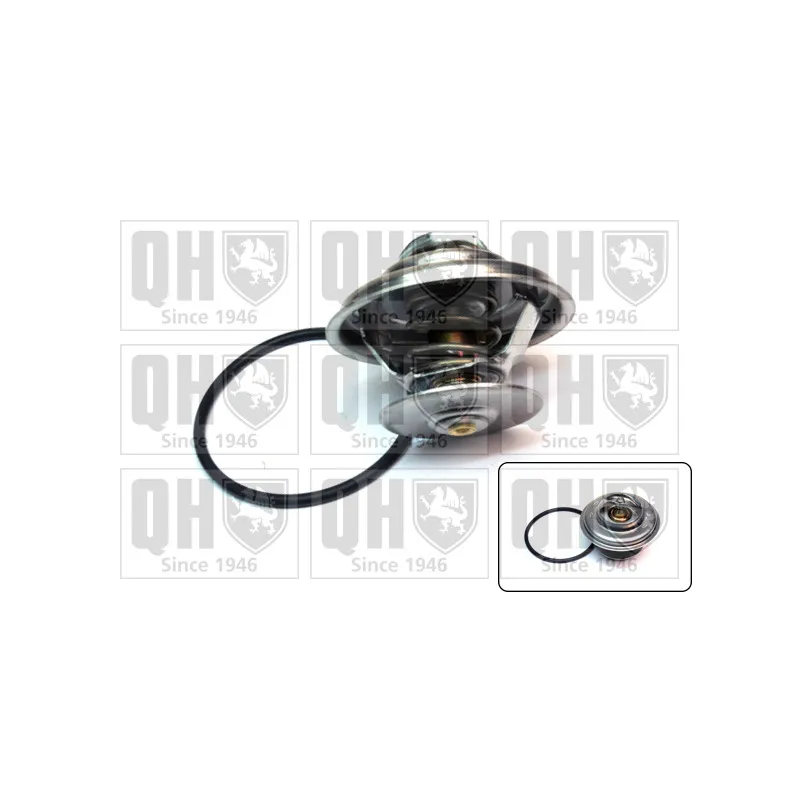 Thermostat d'eau QUINTON HAZELL QTH353K