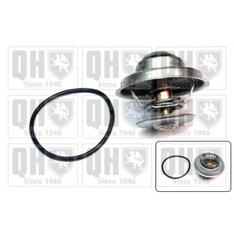 Thermostat d'eau QUINTON HAZELL