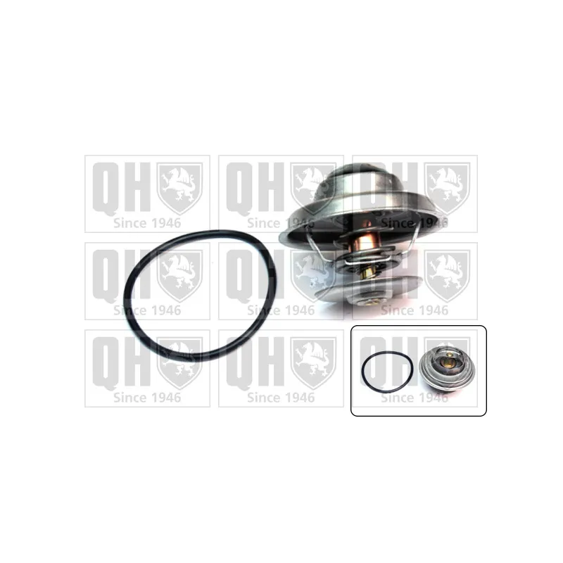Thermostat d'eau QUINTON HAZELL QTH138K