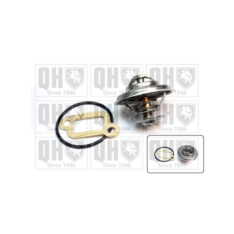 Thermostat d'eau QUINTON HAZELL QTH132K