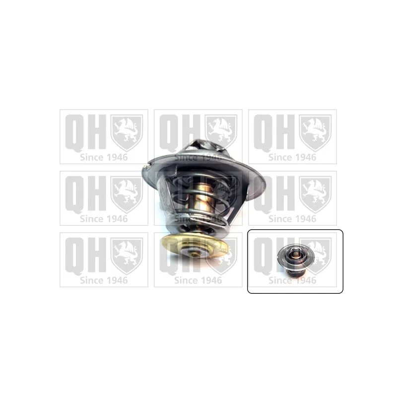 Thermostat d'eau QUINTON HAZELL QTH164