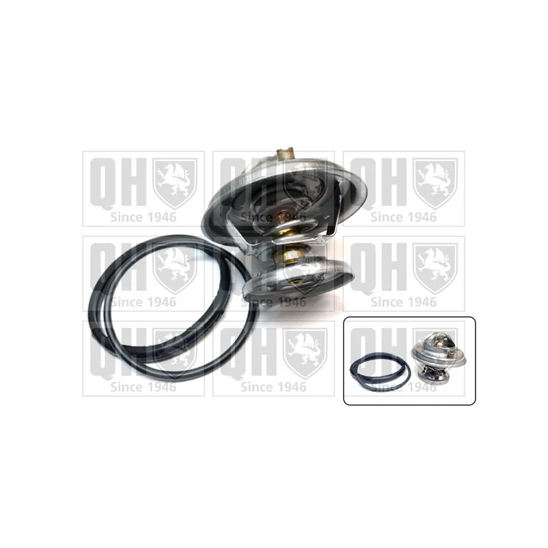 Thermostat d'eau QUINTON HAZELL QTH295K