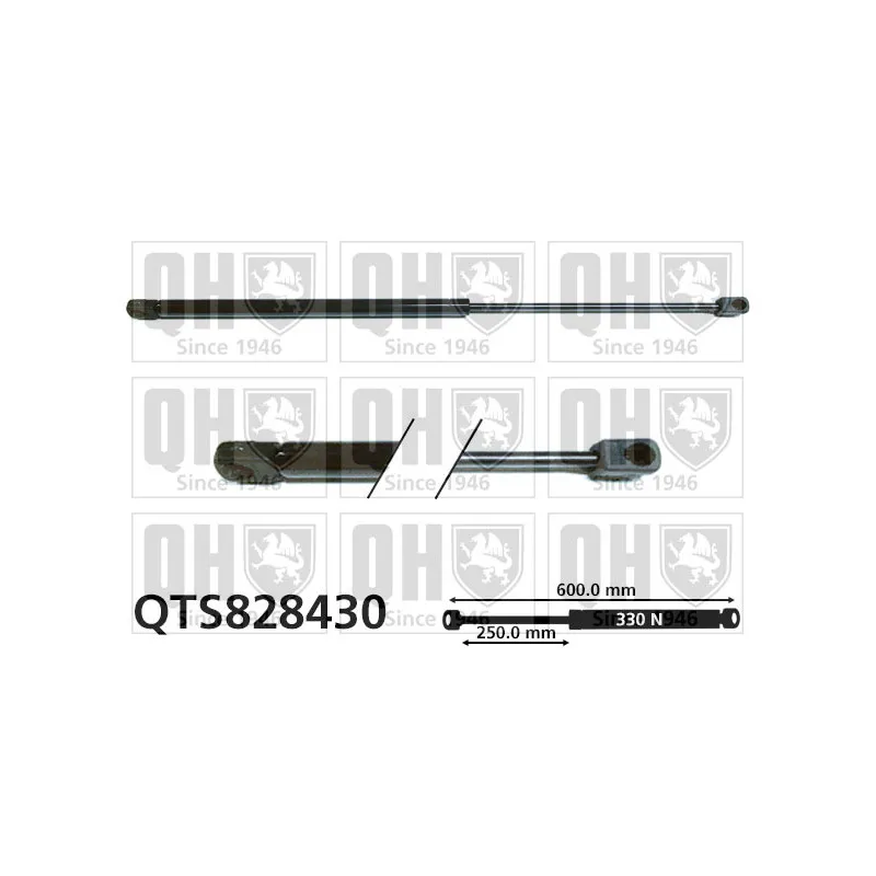 Vérin de hayon, de coffre QUINTON HAZELL QTS828430