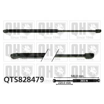 Vérin de hayon, de coffre QUINTON HAZELL