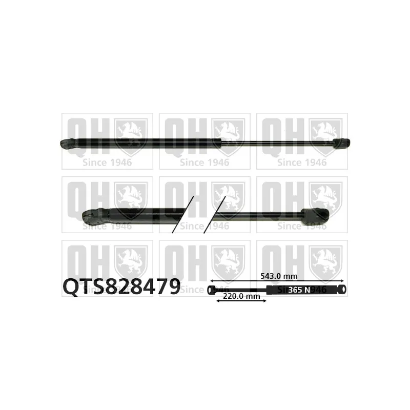 Vérin de hayon, de coffre QUINTON HAZELL QTS828479