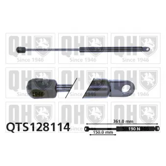 Vérin de hayon, de coffre QUINTON HAZELL