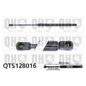 Vérin de hayon, de coffre QUINTON HAZELL