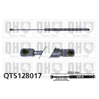 Vérin de hayon, de coffre QUINTON HAZELL