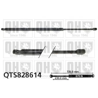 Vérin de hayon, de coffre QUINTON HAZELL