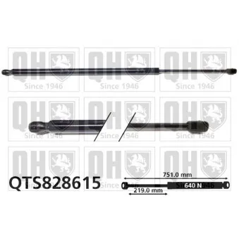 Vérin de hayon, de coffre QUINTON HAZELL