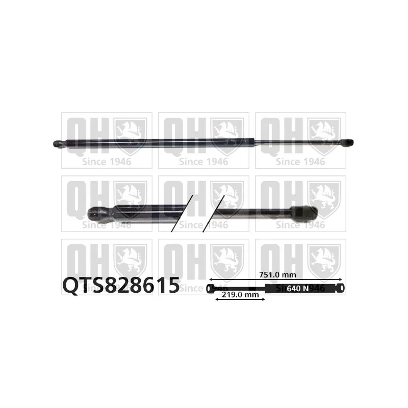 Vérin de hayon, de coffre QUINTON HAZELL QTS828615