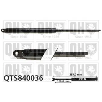 Vérin de hayon, de coffre QUINTON HAZELL