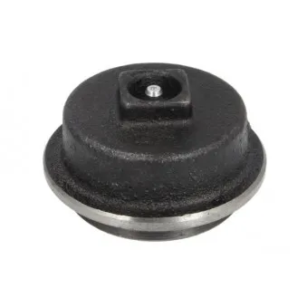 Bonnette/tête/bout, roulement de roue BTA B06-2165