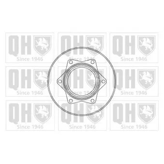 Jeu de 2 disques de frein arrière QUINTON HAZELL