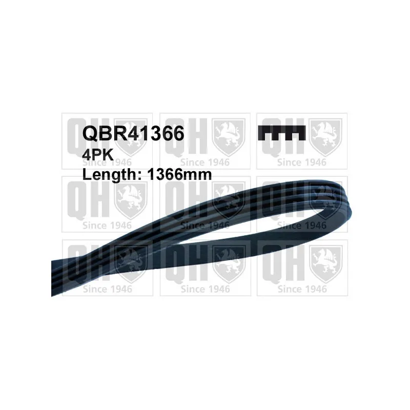 Courroie trapézoïdale à nervures QUINTON HAZELL QBR41366