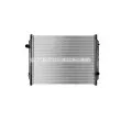 Radiateur, refroidissement du moteur AVA QUALITY COOLING RE2070N - Visuel 2