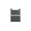Intercooler, échangeur AVA QUALITY COOLING RE4082 - Visuel 3