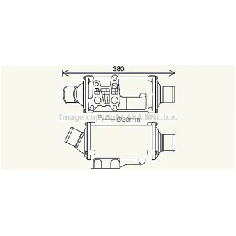Radiateur d'huile AVA QUALITY COOLING