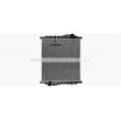 Radiateur, refroidissement du moteur AVA QUALITY COOLING MN2120N - Visuel 1