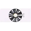 Roue du souffleur, refroidissementdu moteur AVA QUALITY COOLING MNB118 - Visuel 2