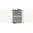 Radiateur, refroidissement du moteur AVA QUALITY COOLING MN2110N - Visuel 1