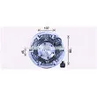 Embrayage, ventilateur de radiateur AVA QUALITY COOLING MNC106 - Visuel 3