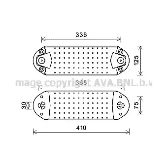 Radiateur d'huile AVA QUALITY COOLING