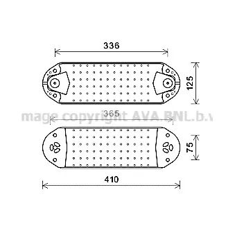 Radiateur d'huile AVA QUALITY COOLING