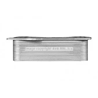 Radiateur d'huile AVA QUALITY COOLING VL3143