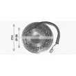 Embrayage, ventilateur de radiateur AVA QUALITY COOLING SCC078 - Visuel 2