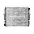 Radiateur, refroidissement du moteur AVA QUALITY COOLING IV2162 - Visuel 1