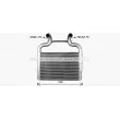 Intercooler, échangeur AVA QUALITY COOLING DF4104 - Visuel 1