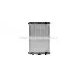 Radiateur, refroidissement du moteur AVA QUALITY COOLING DF2040N - Visuel 1