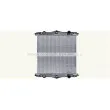 Radiateur, refroidissement du moteur AVA QUALITY COOLING DF2041N - Visuel 1
