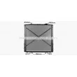 Radiateur, refroidissement du moteur AVA QUALITY COOLING DF2098 - Visuel 1
