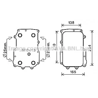Radiateur d'huile AVA QUALITY COOLING