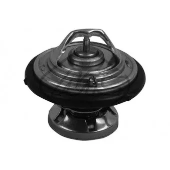 Thermostat d'eau Metalcaucho