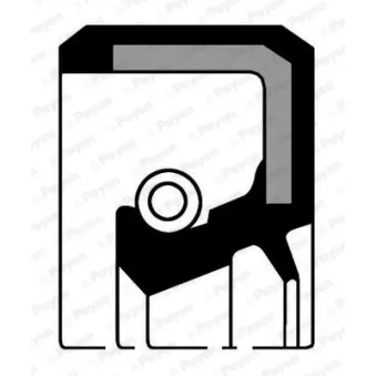 Bague d'étanchéité, vilebrequin PAYEN NA5461