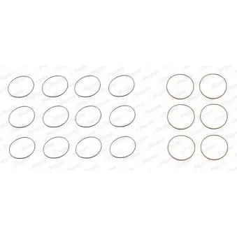 Jeu de joints d'étanchéité, chemise de cylindre PAYEN