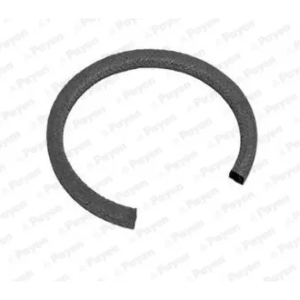 Bague d'étanchéité, vilebrequin PAYEN