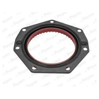 Bague d'étanchéité, vilebrequin PAYEN